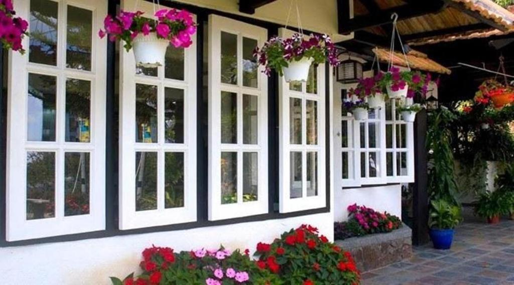 Hillview Cameron Highlands Promo